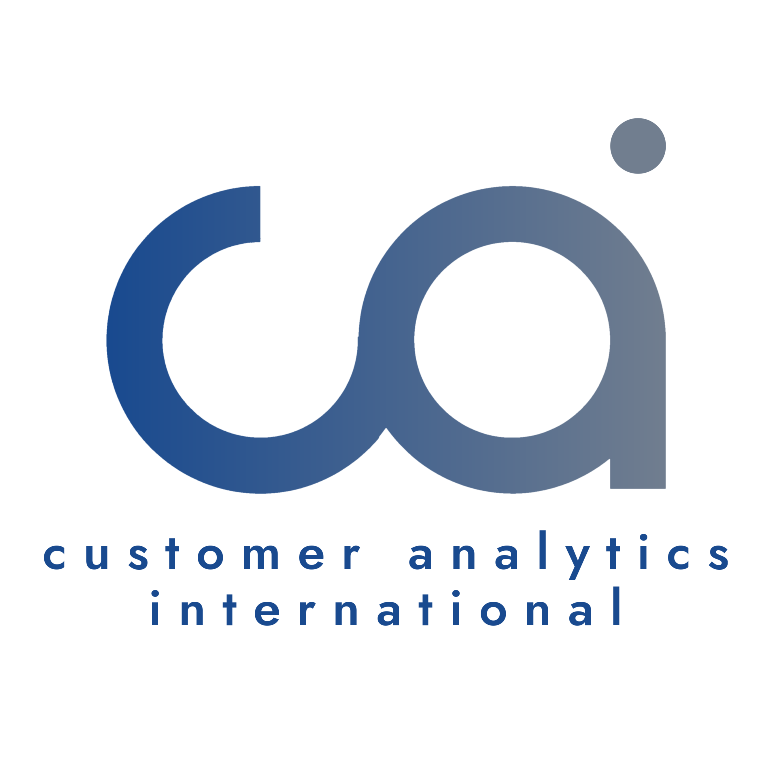 Customer Analytics International s.r.l.